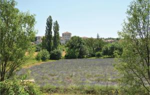 Maisons de vacances Amazing home in Barjac with 3 Bedrooms, WiFi and Outdoor swimming pool : photos des chambres