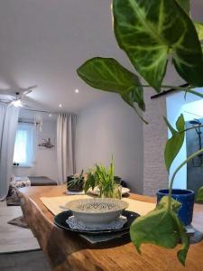 Urocze studio w sercu Cieplic