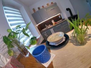 Urocze studio w sercu Cieplic
