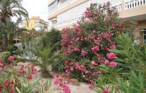 Beautiful Apartment In Torrevieja With 1 Bedrooms And Wifi