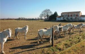 Maisons de vacances Stunning Home In Calvisson With Wifi, Outdoor Swimming Pool And Swimming Pool : photos des chambres