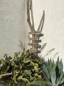 Maisons de vacances Maison Vert d'Eau : photos des chambres