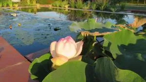 Gîte du Pradel - 梅维尔