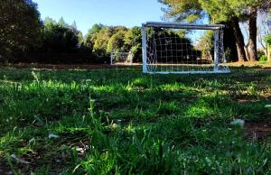 Appartements Joli Gite de 55M2 d'entressen dans Mas en campagne avec piscine jeux d'exterieurs pour enfants terrain de petanque : photos des chambres