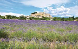 Maisons de vacances Beautiful home in Grignan with WiFi and Outdoor swimming pool : photos des chambres