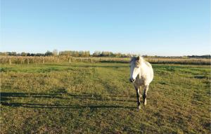 Maisons de vacances Le Cypres : photos des chambres