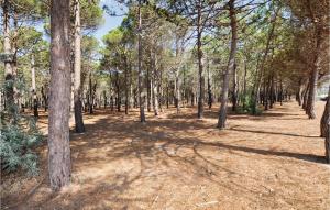 Maisons de vacances Two-Bedroom Holiday Home In Sainte Marie Plage : photos des chambres