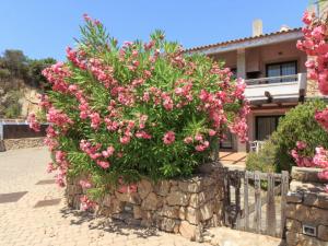 Baia Del Faro img66