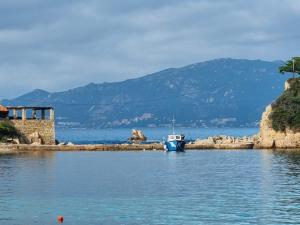 Appartements Superbe appartement T3 face mer baie Ajaccio : photos des chambres