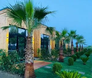 HAVANA HOUSE - Kodërmarlekaj