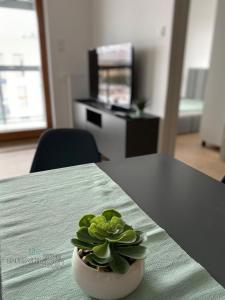 Apartament Azur - AZW Gdańsk