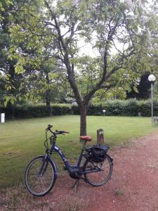 Campings Camping Les Feuilles Chauffailles : photos des chambres