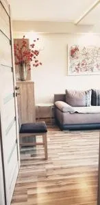 Wici 2 Apartments Teofilow Wodny Raj - 罗兹地区亚历山德鲁夫