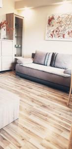 Wici 2 Apartments Teofilow Wodny Raj