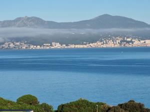 Appartements Superbe appartement T3 face mer baie Ajaccio : photos des chambres