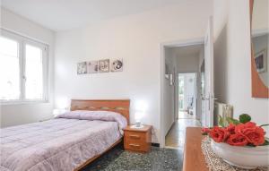 Pet Friendly Apartment