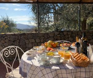 Fattoria Lornano Winery