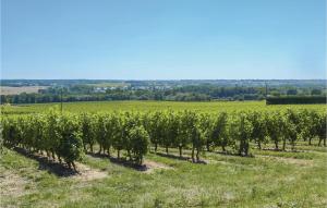 Maisons de vacances Pet Friendly Home In St Jean Des Mauvrets With Kitchen : Maison de Vacances 2 Chambres
