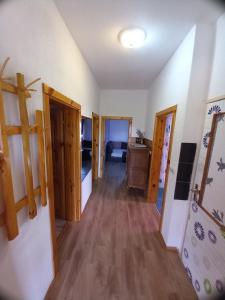 Apartment in Rakovica with Terrace, Air conditioning, Wifi (601-1)