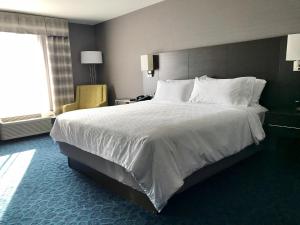 Standard King Room room in Holiday Inn Express Sidney an IHG Hotel