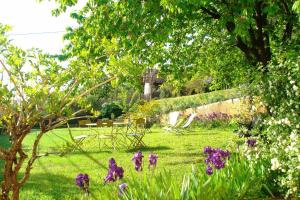 Les Cypres photo 24