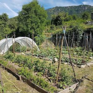 Maisons de vacances Ferme de chalas, Gite en transition ecologique : photos des chambres