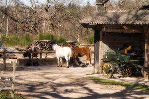 Appartements Domaine Du Bois du Loup : photos des chambres
