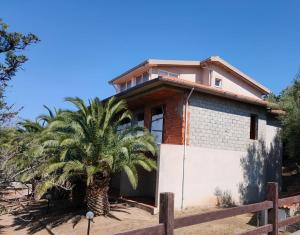 Villa del Palmeto img12