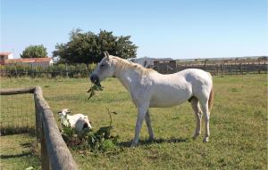 Campings Amazing Stacaravan In Franquevaux : photos des chambres