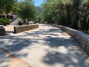 Despina Studios Raxes Ikaria # 1