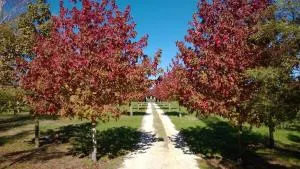 科贝伦住宿加早餐旅馆 - Newstead