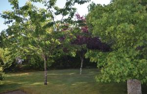 Nice Home In Pleuven With Wifi