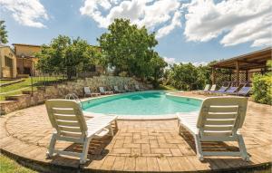 Pet Friendly Apartment