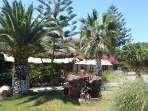 Asteri Hotel Patmos Greece