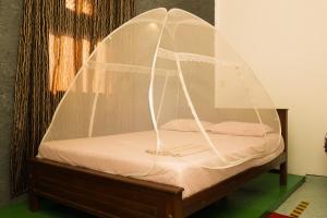 Lilly Palace Villa Guest House