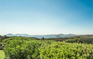 Nice Home In Arzachena img30