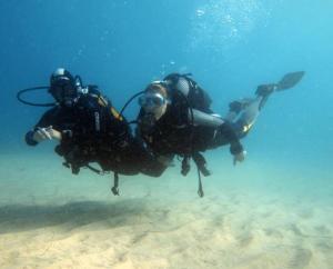 1-Bed Sleeps 2 Garden & Pool Access