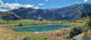 Lodges on Pearson - Unit 2 - 克伦威尔