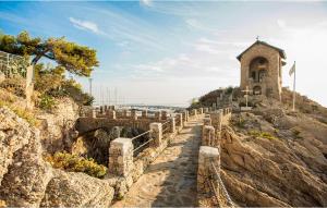 Pet Friendly Apartment