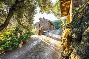 La Bandita - antica casa di campagna toscana con piscina, WIFI e splendida vista