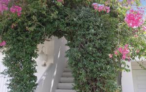 Soleiliosonne, Haus Paris