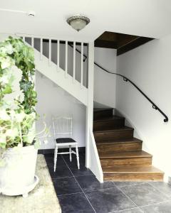 Smakrike Krog & Logi