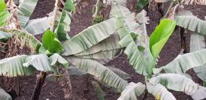 One Love Guesthouse & Restaurant