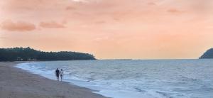 REEF RETREAT APARTMENTS PALM COVE Unit 13