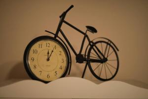 Charming Apartment in Historical City Center