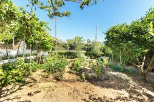 Οικια Elisabeth