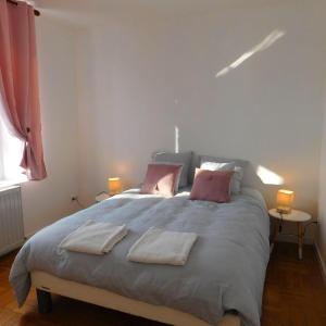Appartements Appartement situe en centre ville de Saint Aignan : photos des chambres