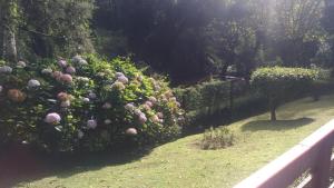 Apartamento no Morro do Elefante Campos do Jordão