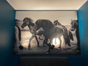 Apartament przy Ścieżce Kościelnej