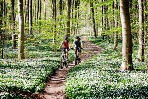 Vakantiehuis in een prachtige bosrijke omgeving in Twente!